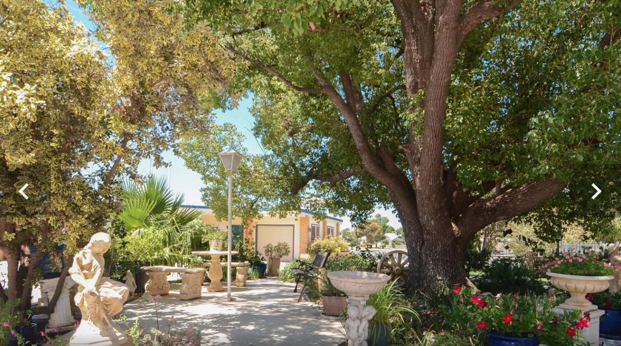 Sturt Motel Balranald Bagian luar foto