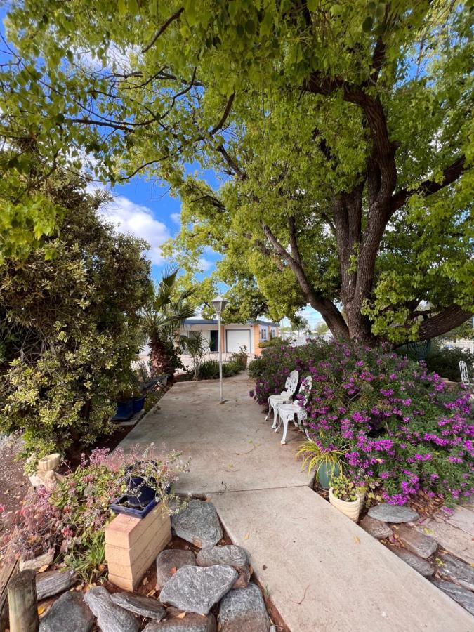 Sturt Motel Balranald Bagian luar foto