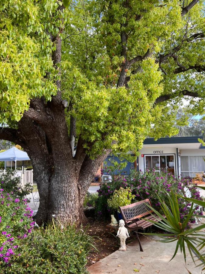 Sturt Motel Balranald Bagian luar foto